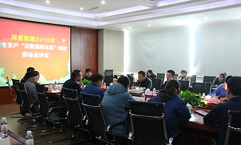 河套街道召開安全生產“雙重預防體系”創(chuàng)建現場點評會議